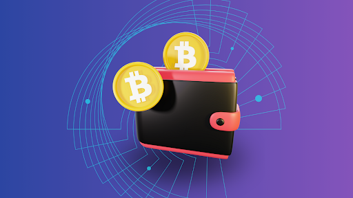 What is the Best Crypto Wallet for Bitcoin?